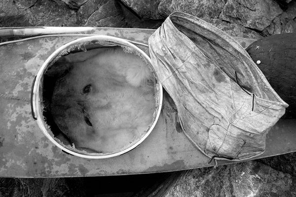 Historic kayaking photo